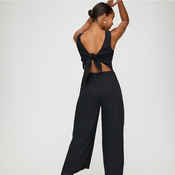 Aritzia Pants - Aritzia Wilfred Écoulement Jumpsuit